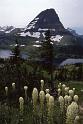 Glacier NP Aug-1990 Beargrass and Bearhat Mtn
